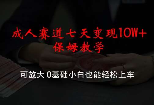 成人赛道七天变现10W+保姆教学，可放大，0基础小白也能轻松上车【揭秘】-问小徐资源库