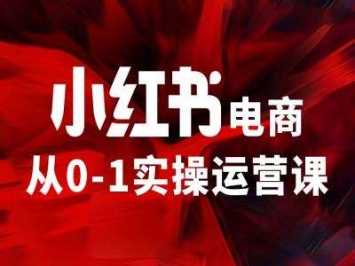 小红书电商从0-1实操运营课，让你从小白到精英-问小徐资源库