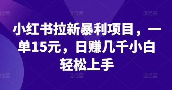 小红书拉新暴利项目，一单15元，日赚几千小白轻松上手【揭秘】-问小徐资源库