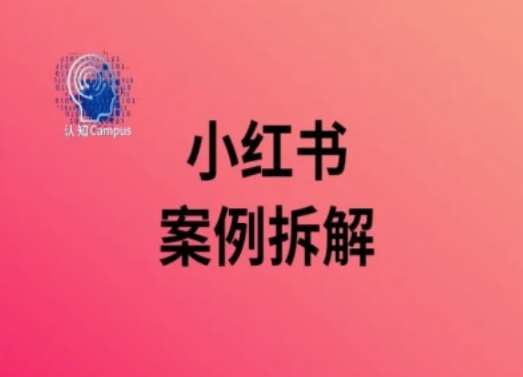 图片[1]-小红书案例拆解，深度解读小红书40万粉-问小徐资源库