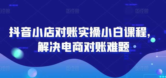 抖音小店对账实操小白课程，解决电商对账难题-问小徐资源库