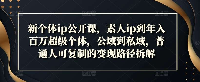图片[1]-新个体ip公开课，素人ip到年入百万超级个体，公域到私域，普通人可复制的变现路径拆解-问小徐资源库