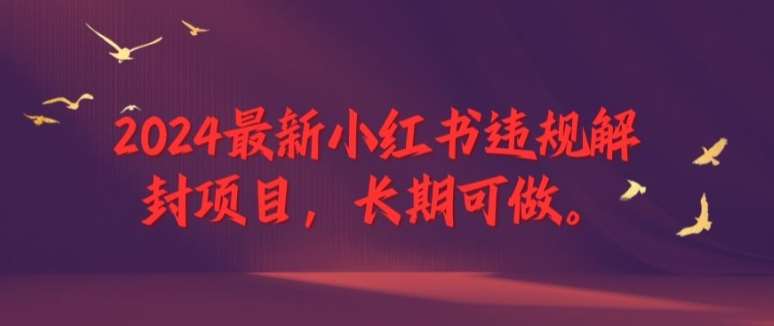 2024最新小红书违规解封项目，长期可做，一个可以做到退休的项目【揭秘】-问小徐资源库