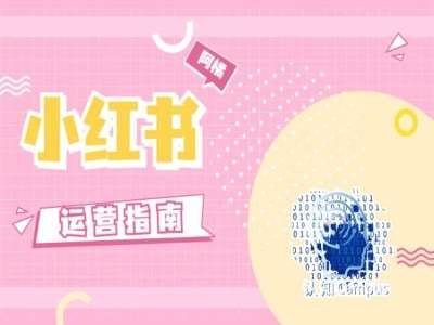 图片[1]-小红书运营指南，没有套路，全是经验-问小徐资源库