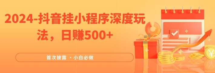 2024全网首次披露，抖音挂小程序深度玩法，日赚500+，简单、稳定，带渠道收入，小白必做【揭秘】-问小徐资源库
