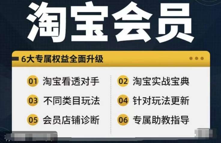 淘宝会员【淘宝所有课程，全面分析对手】，初级到高手全系实战宝典-问小徐资源库