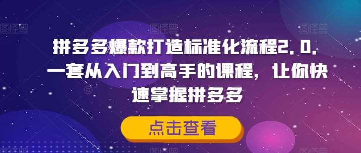 拼多多爆款打造标准化流程2.0，一套从入门到高手的课程，让你快速掌握拼多多-问小徐资源库