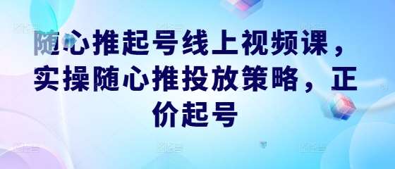 随心推起号线上视频课，实操随心推投放策略，正价起号-问小徐资源库