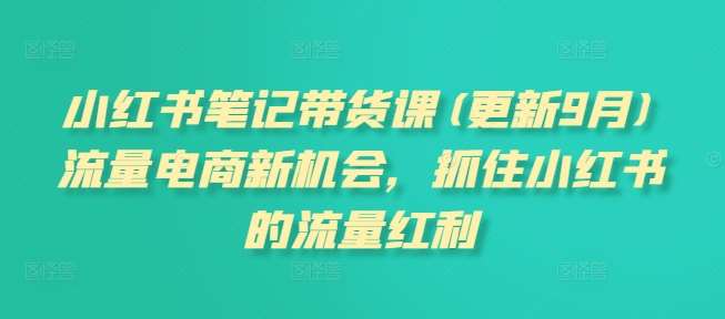 小红书笔记带货课(更新9月)流量电商新机会，抓住小红书的流量红利-问小徐资源库