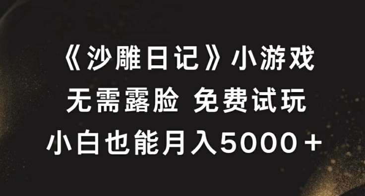 《沙雕日记》小游戏，无需露脸免费试玩，小白也能月入5000+【揭秘】-问小徐资源库