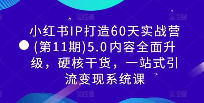 小红书IP打造60天实战营(第11期)5.0​内容全面升级，硬核干货，一站式引流变现系统课-问小徐资源库