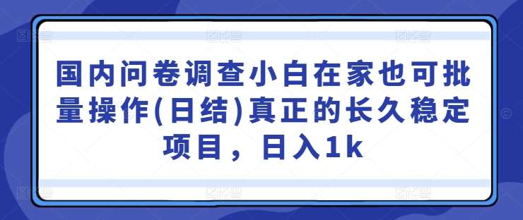 国内问卷调查小白在家也可批量操作(日结)真正的长久稳定项目，日入1k【揭秘】-问小徐资源库