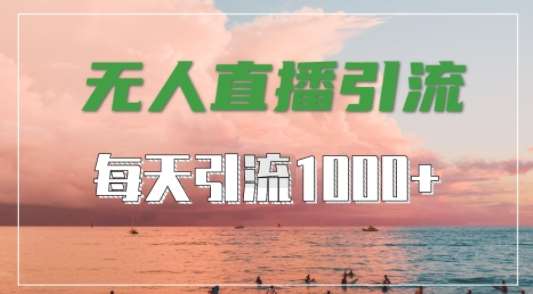 抖音快手视频号全平台通用，无人直播引流法，超暴力引流1000+高质量精准创业粉【揭秘】-问小徐资源库