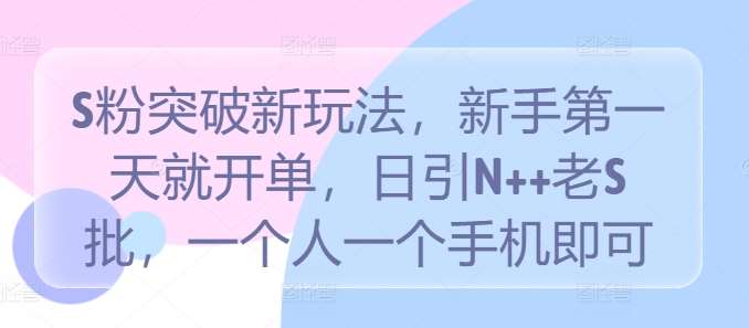 S粉突破新玩法，新手第一天就开单，日引N++老S批，一个人一个手机即可【揭秘】-问小徐资源库