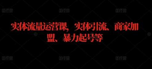 实体流量运营课，实体引流、商家加盟、暴力起号等-问小徐资源库