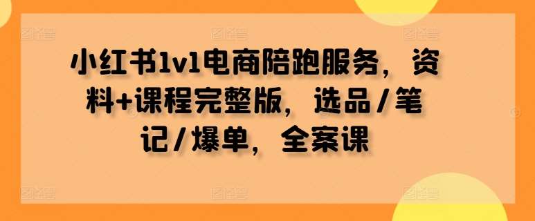 小红书1v1电商陪跑服务，资料+课程完整版，选品/笔记/爆单，全案课-问小徐资源库