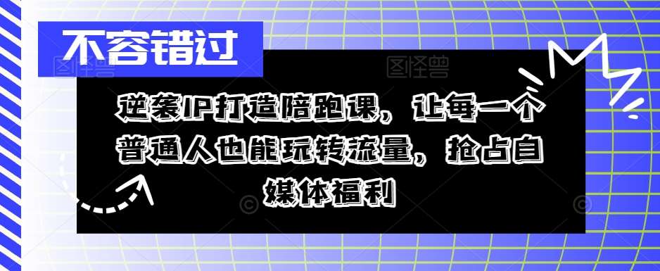 逆袭IP打造陪跑课，让每一个普通人也能玩转流量，抢占自媒体福利-问小徐资源库