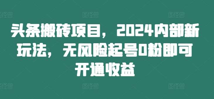 头条搬砖项目，2024内部新玩法，无风险起号0粉即可开通收益-问小徐资源库