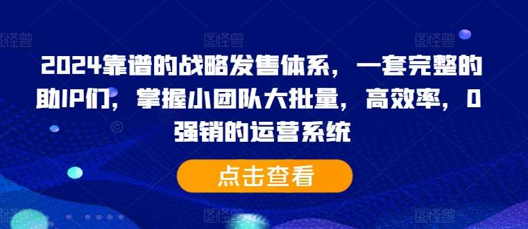 2024靠谱的战略发售体系，一套完整的助IP们，掌握小团队大批量，高效率，0 强销的运营系统-问小徐资源库