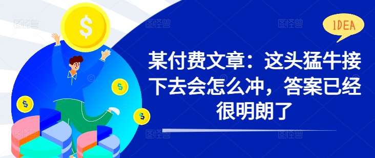 某付费文章：这头猛牛接下去会怎么冲，答案已经很明朗了 !-问小徐资源库
