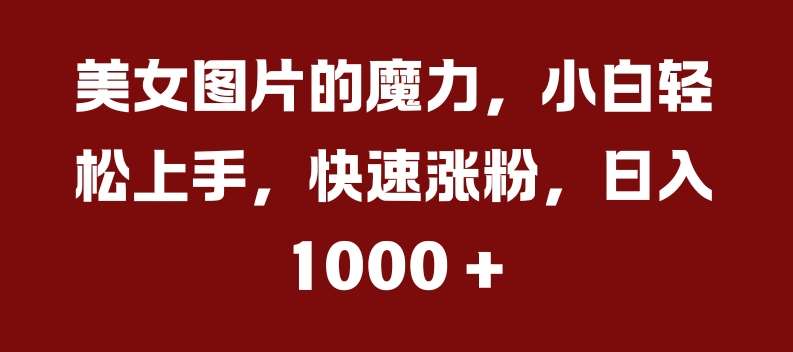 美女图片的魔力，小白轻松上手，快速涨粉，日入几张【揭秘】-问小徐资源库