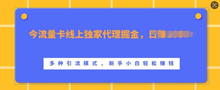 流量卡线上独家代理掘金，日入1k+ ，多种引流模式，新手小白轻松上手【揭秘】-问小徐资源库