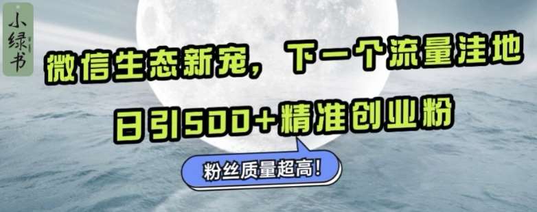 微信生态新宠小绿书：下一个流量洼地，日引500+精准创业粉，粉丝质量超高-问小徐资源库