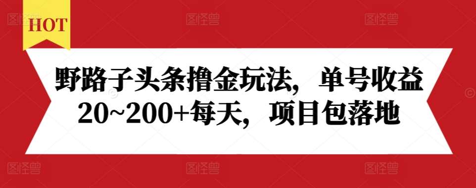 野路子头条撸金玩法，单号收益20~200+每天，项目包落地-问小徐资源库