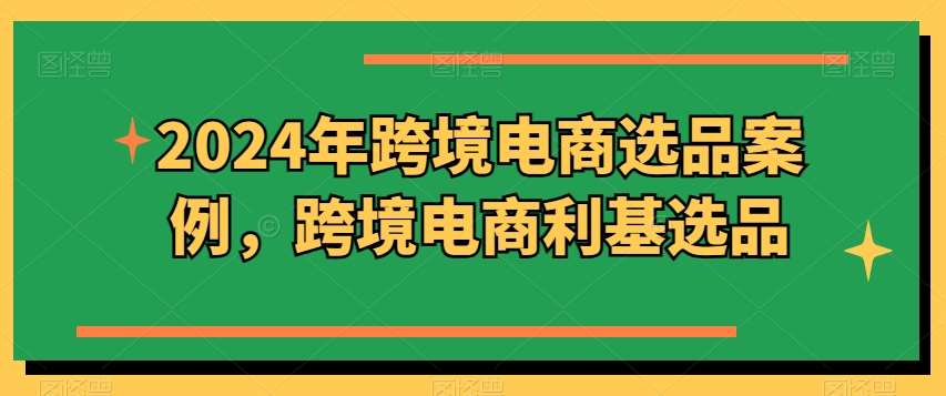 2024年跨境电商选品案例，跨境电商利基选品（更新11月）-问小徐资源库