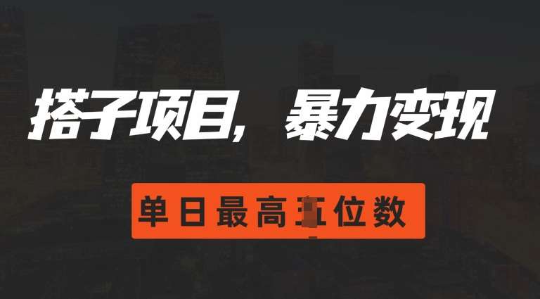 2024搭子玩法，0门槛，暴力变现，单日最高破四位数【揭秘】-问小徐资源库