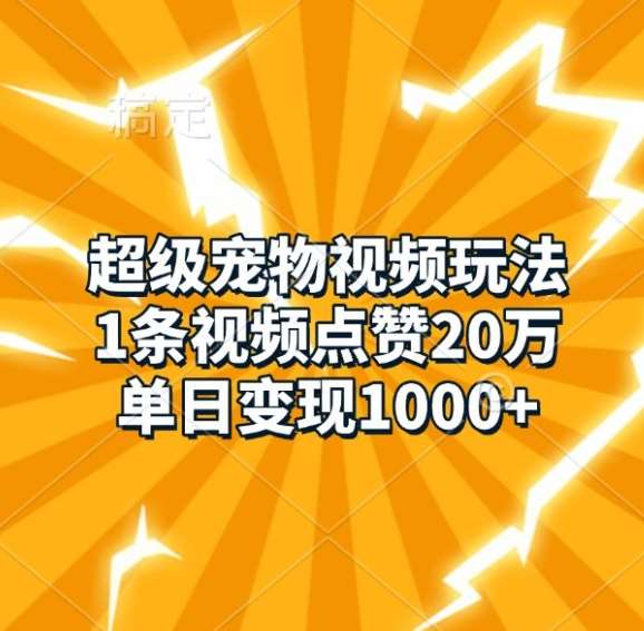 超级宠物视频玩法，1条视频点赞20万，单日变现1k-问小徐资源库