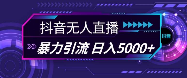 抖音快手视频号全平台通用无人直播引流法，利用图片模板和语音话术，暴力日引流100+创业粉【揭秘】-问小徐资源库