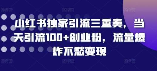 小红书独家引流三重奏，当天引流100+创业粉，流量爆炸不愁变现【揭秘】-问小徐资源库