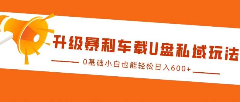 升级暴利车载U盘私域玩法，0基础小白也能轻松日入多张【揭秘】-问小徐资源库