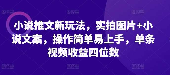 小说推文新玩法，实拍图片+小说文案，操作简单易上手，单条视频收益四位数-问小徐资源库