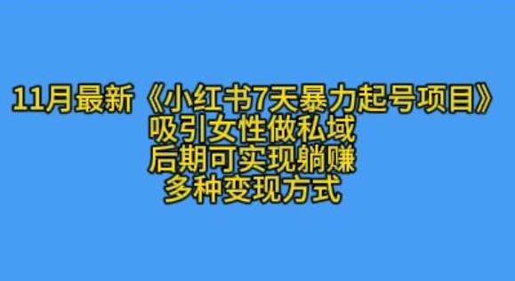 K总部落11月最新小红书7天暴力起号项目，吸引女性做私域【揭秘】-问小徐资源库