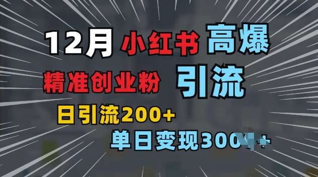 小红书一张图片“引爆”创业粉，单日+200+精准创业粉 可筛选付费意识创业粉【揭秘】-问小徐资源库