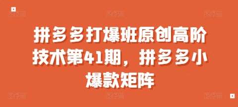 拼多多打爆班原创高阶技术第41期，拼多多小爆款矩阵-问小徐资源库