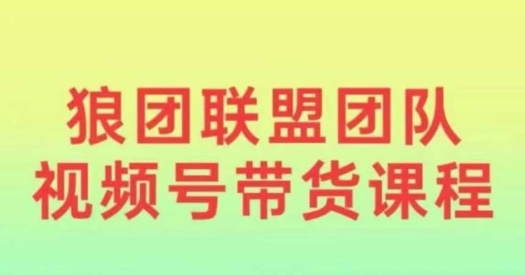 狼团联盟2024视频号带货，0基础小白快速入局视频号-问小徐资源库