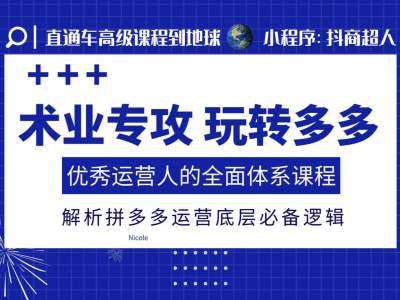 术业专攻玩转多多，优秀运营人的全面体系课程，解析拼多多运营底层必备逻辑-问小徐资源库