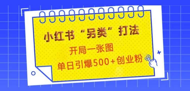 小红书“另类”打法，开局一张图，单日引爆500+精准创业粉【揭秘】-问小徐资源库