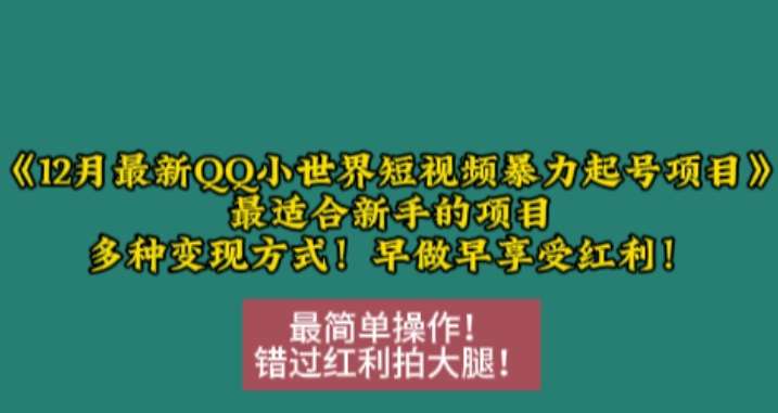 12月最新QQ小世界短视频暴力起号项目，最适合新手的项目，多种变现方式-问小徐资源库