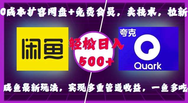 0成本扩容网盘+免费会员，卖技术，拉新，咸鱼最新玩法，实现多重管道收益，一鱼多吃，轻松日入500+-问小徐资源库