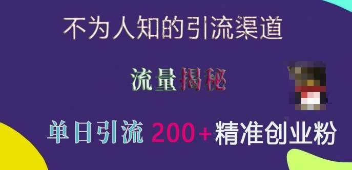 不为人知的引流渠道，流量揭秘，实测单日引流200+精准创业粉【揭秘】-问小徐资源库