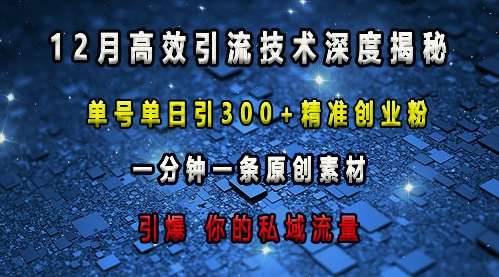 最新高效引流技术深度揭秘 ，单号单日引300+精准创业粉，一分钟一条原创素材，引爆你的私域流量-问小徐资源库