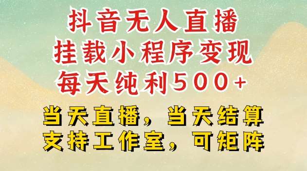 抖音无人直播挂载小程序变现每天纯利500+当天直播，当天结算支持工作室，可矩阵【揭秘】-问小徐资源库