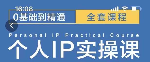 操盘手思维、个人IP、MCN孵化打造千万粉丝IP的运营方法论-问小徐资源库