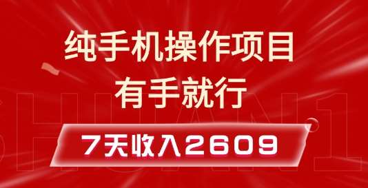 纯手机操作的小项目，有手就能做，7天收入2609+实操教程【揭秘】-问小徐资源库