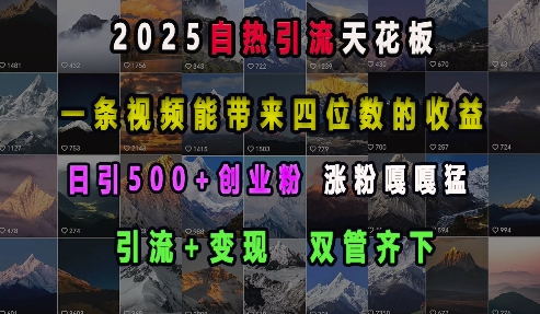 2025自热引流天花板，一条视频能带来四位数的收益，引流+变现双管齐下，日引500+创业粉，涨粉嘎嘎猛-问小徐资源库