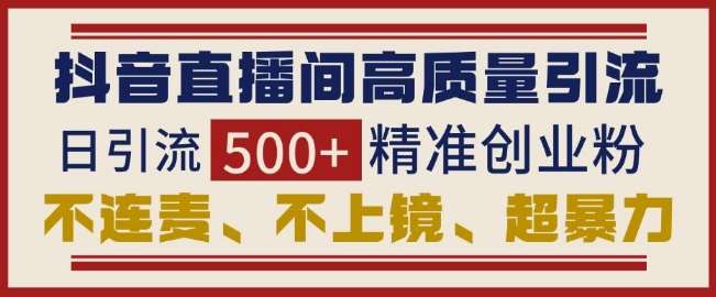 抖音直播间引流创业粉，无需连麦、不用上镜、超暴力，日引流500+高质量精准创业粉-问小徐资源库